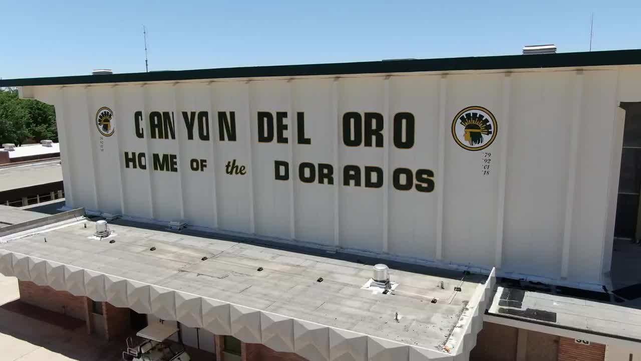 Canyon del Oro High School